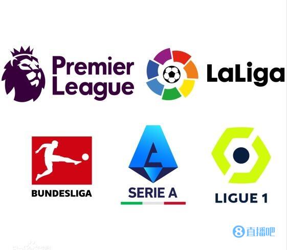 球迷和公众 球迷和公众